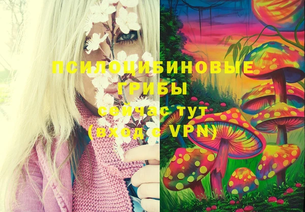 хмурый Белоозёрский