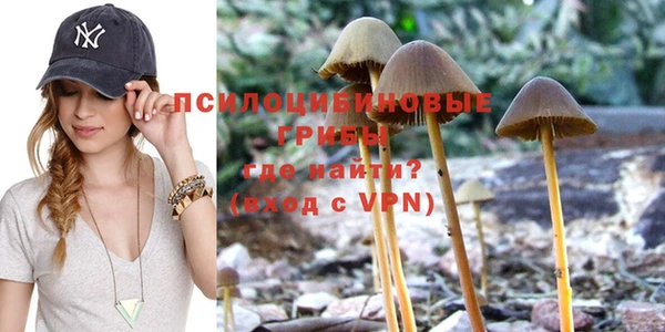 молекула духа Белокуриха